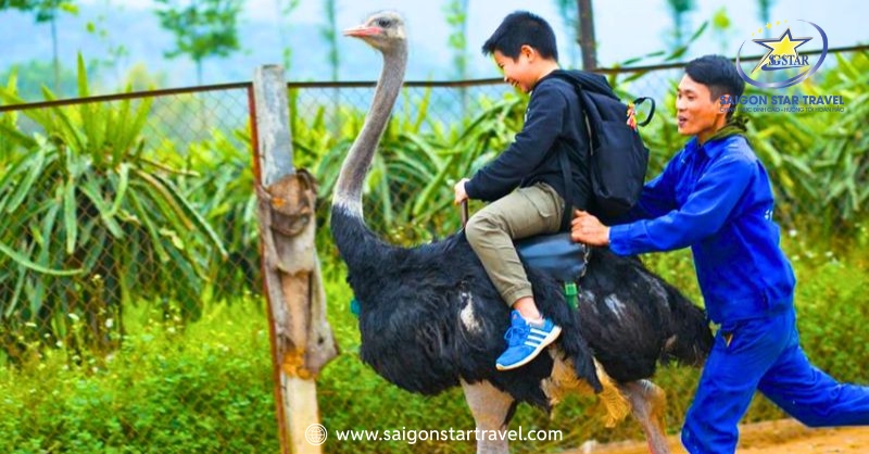 Tour Samten Hill Đà Lạt Trong Ngày Hot Nhất 2025