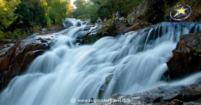 Tour HOT Đà Lạt Trong Ngày Năm 2025