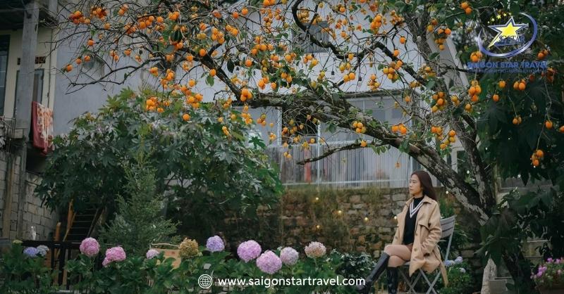 Tour Điện Gió Cầu Đất Đà Lạt Trong Ngày