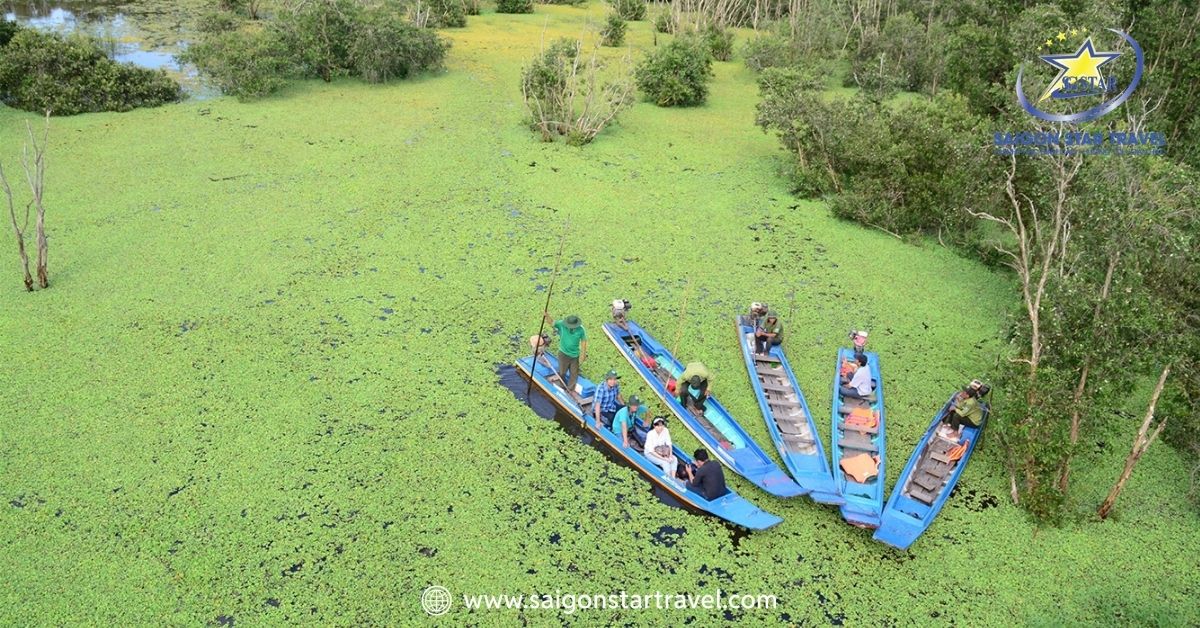 Tour Đồng Tháp 2 Ngày 1 Đêm Từ TpHCM | Tràm Chim - Nam Phương Linh Tự - KDL Mỹ Phước Thành