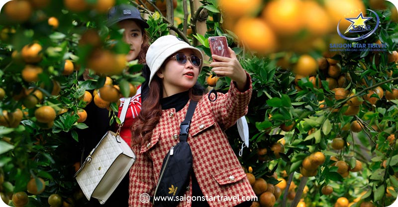 Tour Du Lịch Đồng Tháp 1 Ngày | Trải Nghiệm Hấp Dẫn, Giá Cực Ưu Đãi