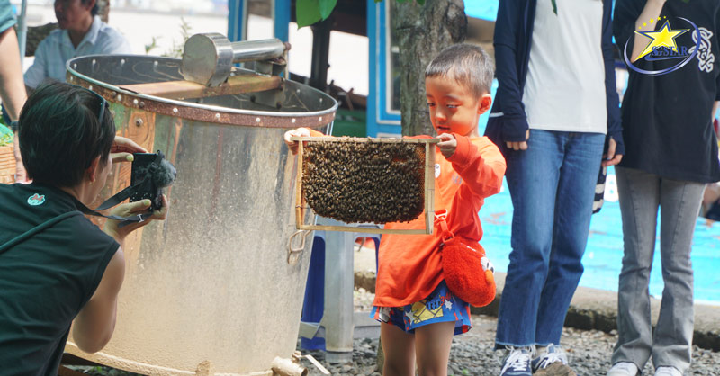 Tour Tết Miền Tây 3 Ngày 2 Đêm 2025 - Tour Tết Giá Ưu Đãi