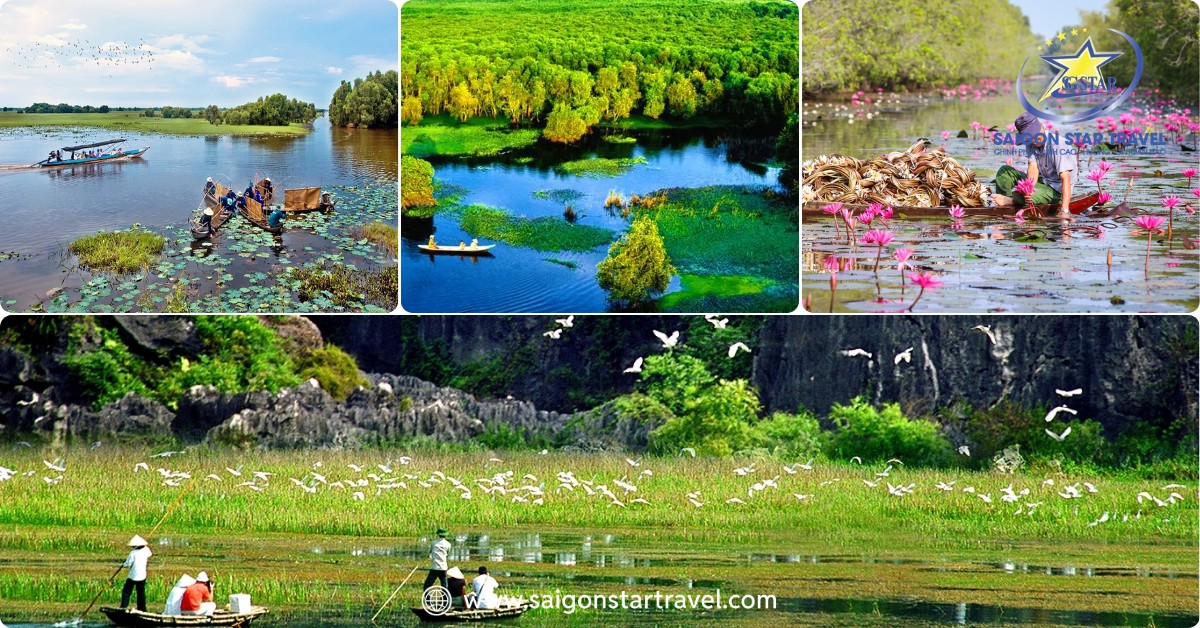 Tour Đồng Tháp Lễ 30/4 2 Ngày 1 Đêm: Khám Phá Xứ Sen Hồng