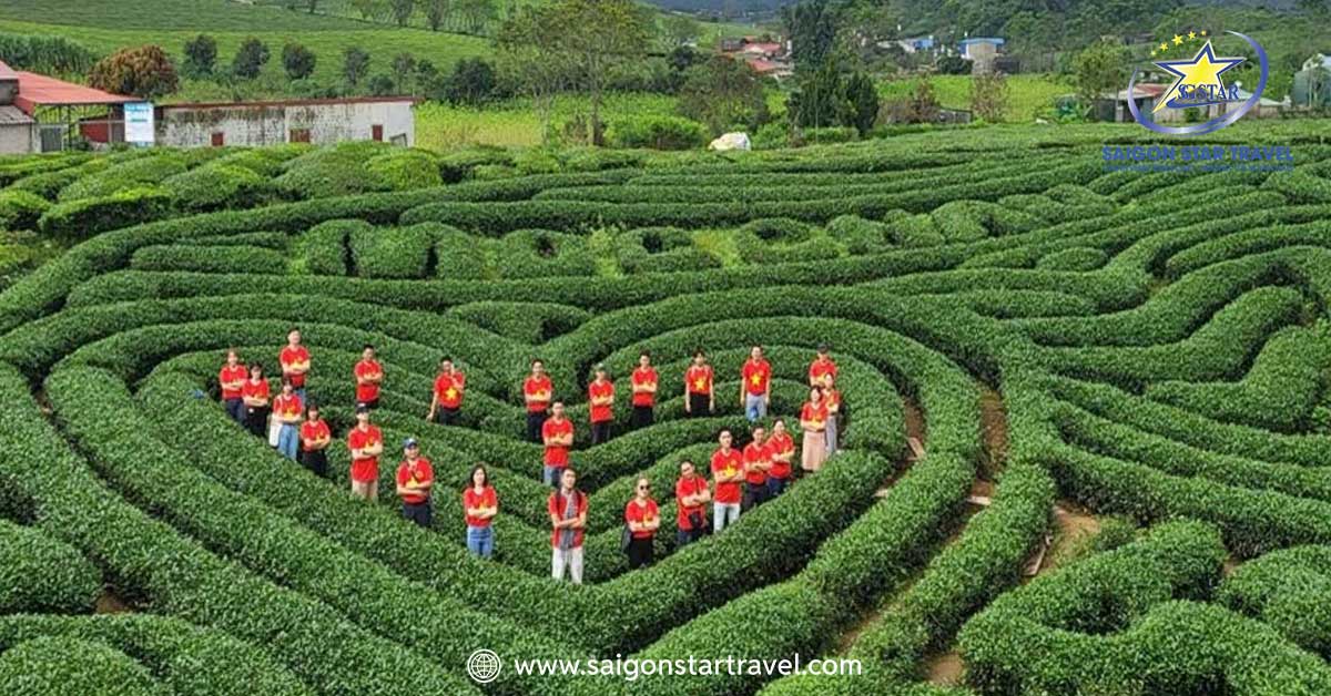 Tour Hà Nội - Hạ Long - Ninh Bình - Mộc Châu - Mai Châu 5N4Đ