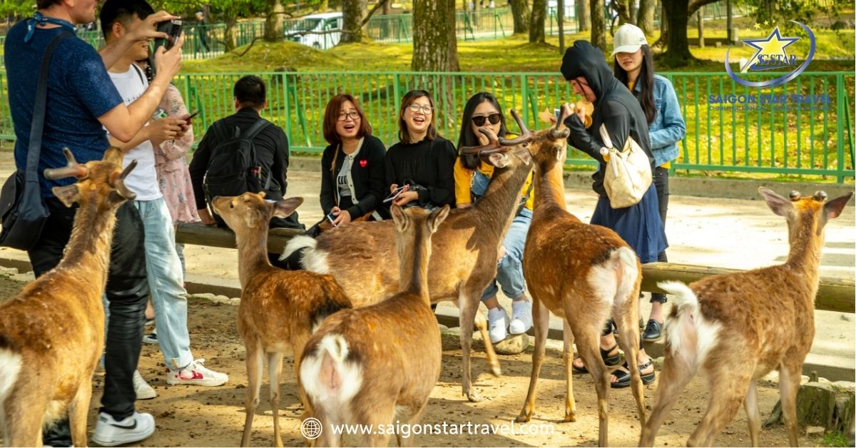 Tour du lịch Nhật Bản 5N5Đ - Osaka- Kyoto - Núi Phú Sĩ - Tokyo
