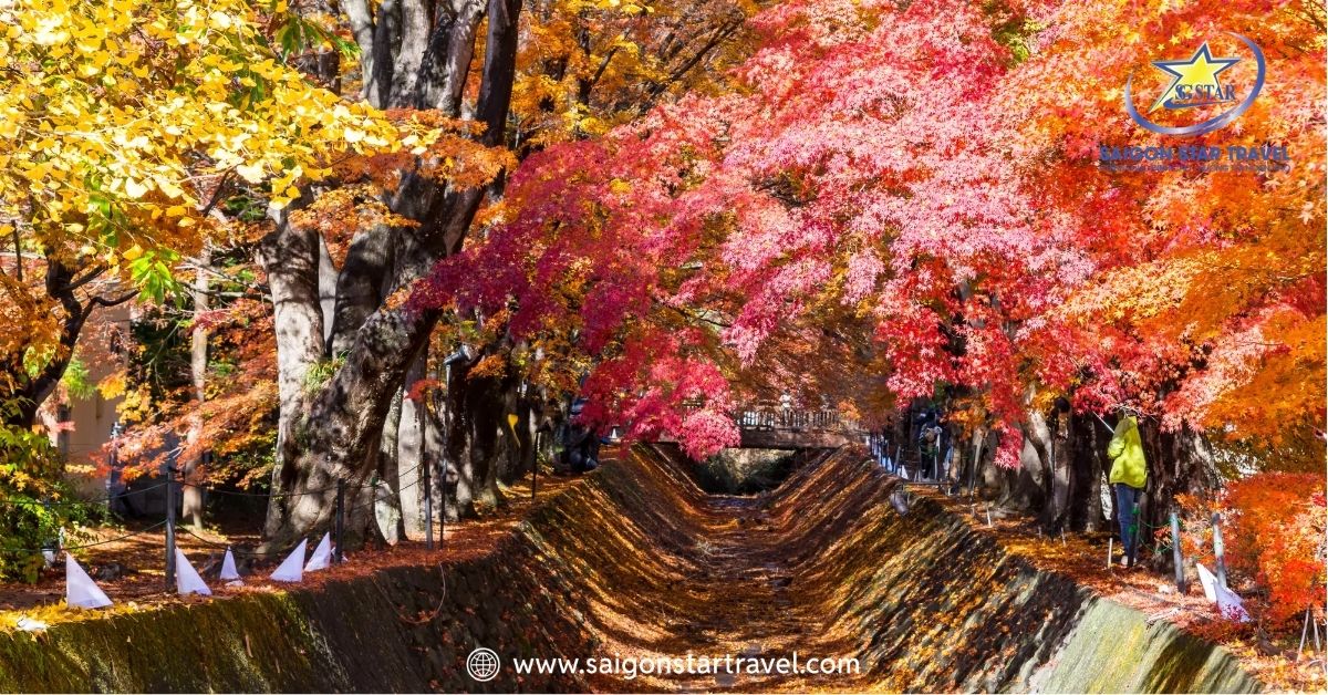 Tour du lịch Nhật Bản 5N5Đ - Osaka- Kyoto - Núi Phú Sĩ - Tokyo