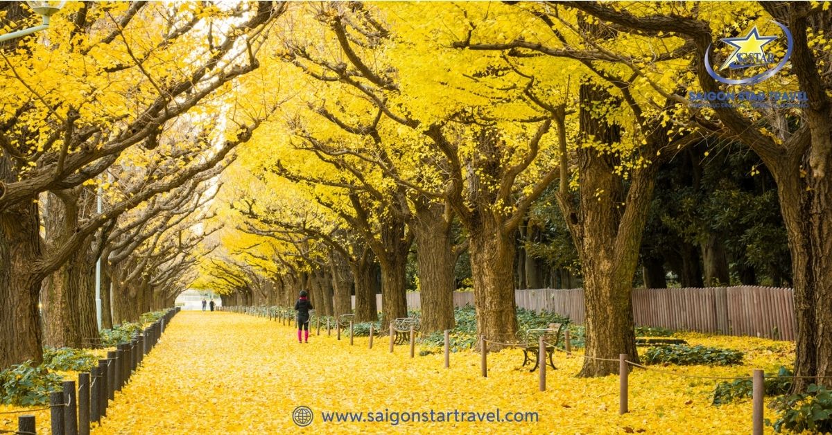 Tour du lịch Nhật Bản 5N5Đ - Osaka- Kyoto - Núi Phú Sĩ - Tokyo