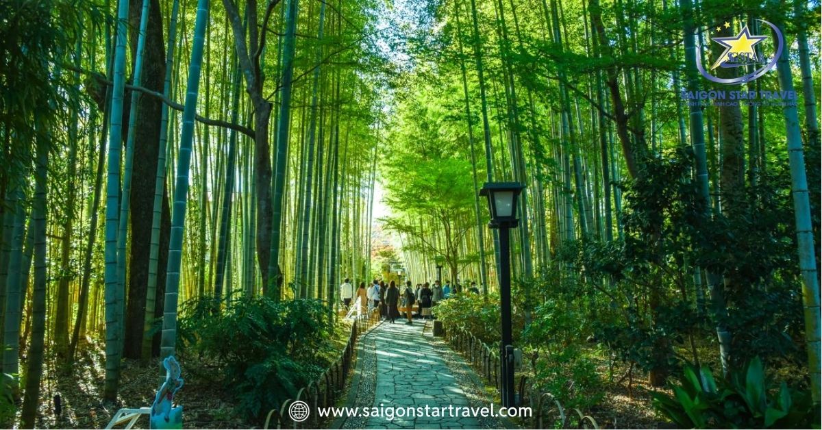Tour du lịch Nhật Bản 5N5Đ - Osaka- Kyoto - Núi Phú Sĩ - Tokyo