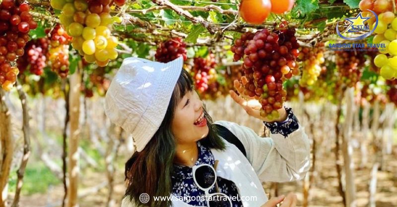 Tour Bình Ba Nha Trang Lễ 30/4 3N3Đ: Nghỉ Dưỡng 4 Sao, Xe Giường Nằm