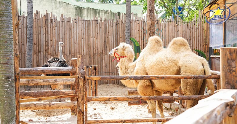 Vé Tham Quan Mango Beach Mũi Né 2025