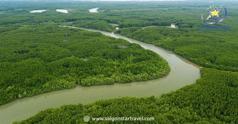 Tour Cần Giờ 1 Ngày - Khám Phá Rừng Ngập Mặn & Biển 30/4