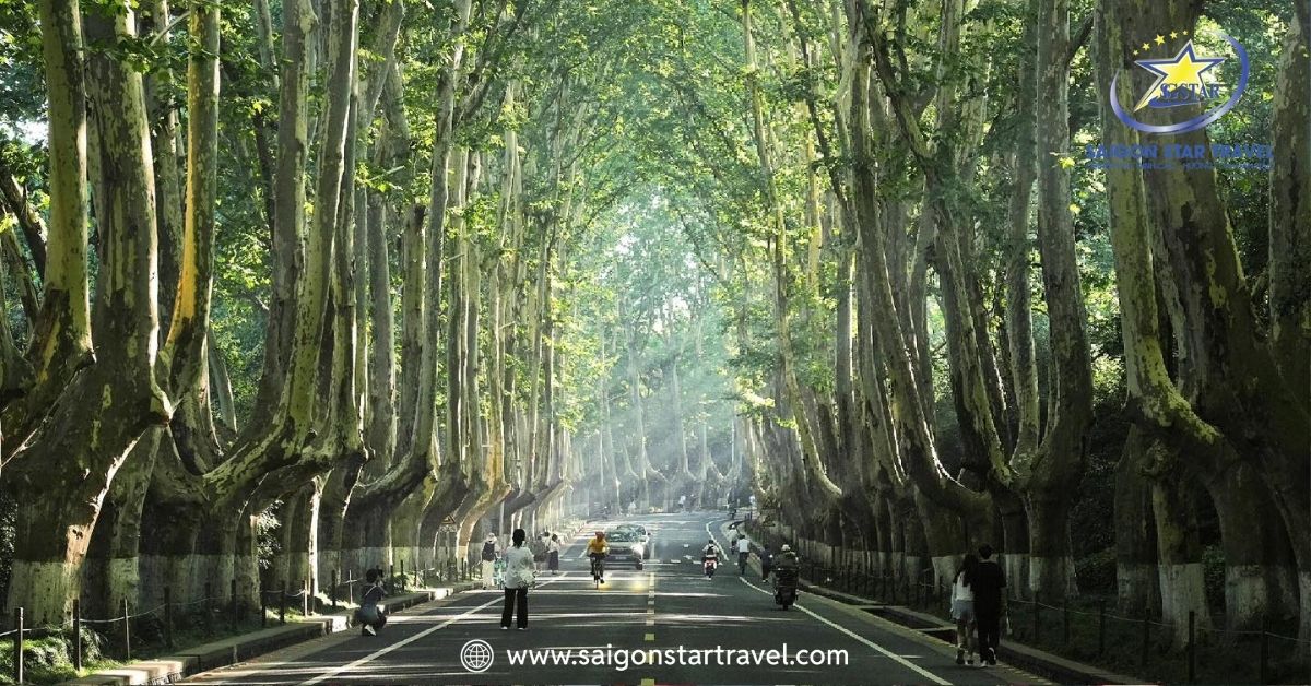 Tour Trung Quốc 5 Ngày 5 Đêm - Nam Kinh - Thượng Hải - Hàng Châu - Ô Trấn