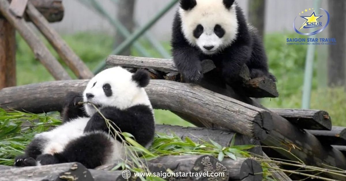 Tour Thành Đô – Cửu Trại Câu – Đô Giang Yển – Lạc Sơn 6N5Đ
