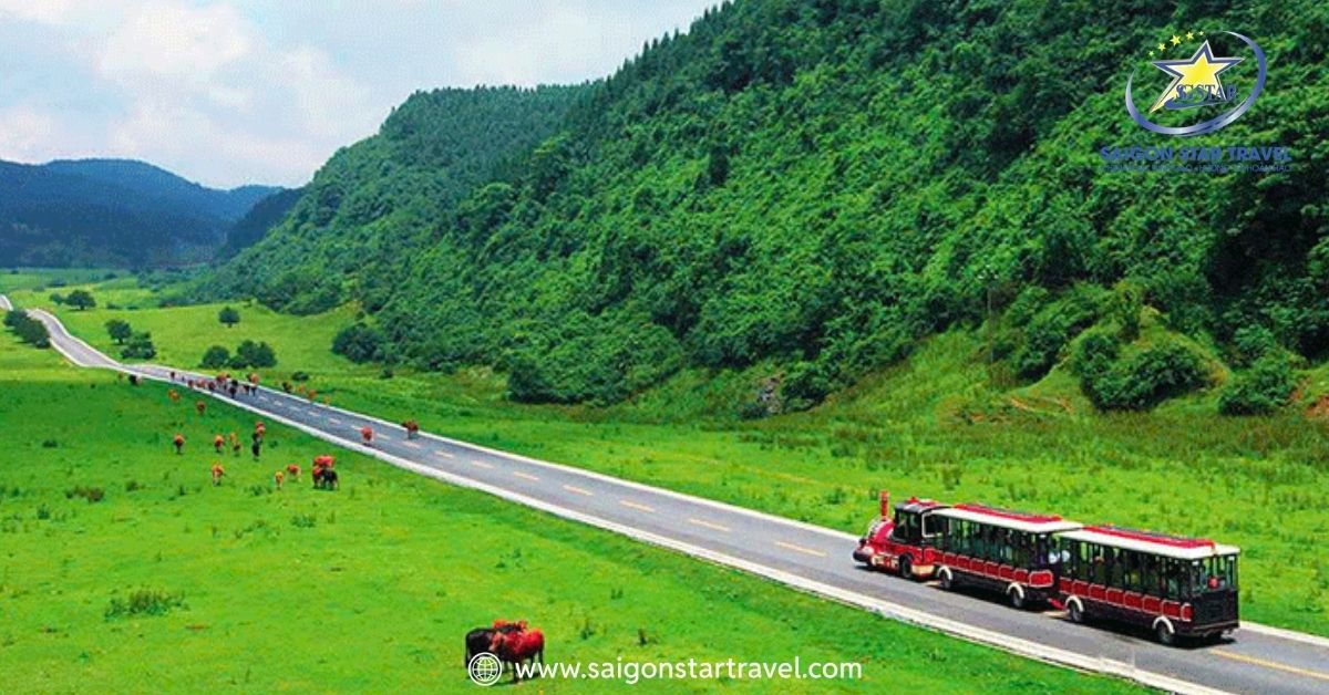 Tour Trùng Khánh – Vũ Long – Thiên Sinh Tam Kiều 6 Ngày 5 Đêm Khởi Hành Từ TpHCM