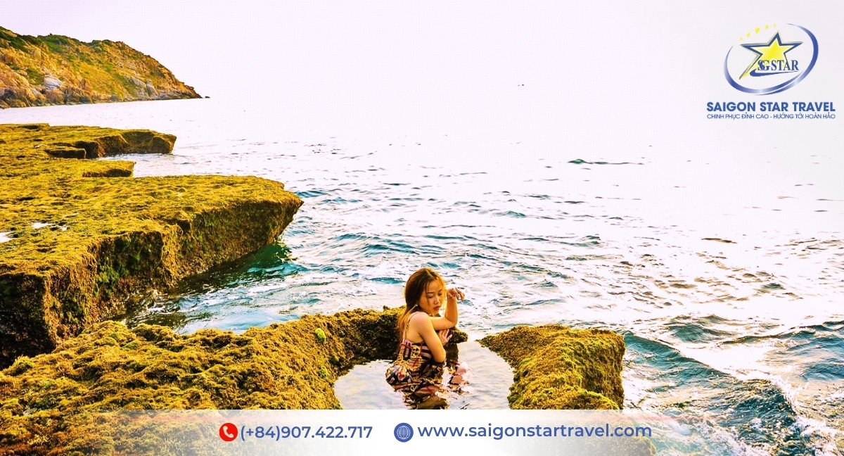 Tour Ninh Chữ Vĩnh Hy 2N1Đ | Hang Rái Vĩnh Hy, Biển Ninh Chữ | Saigon Star Travel