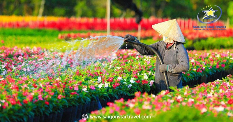 Tour Du Lịch Đồng Tháp 1 Ngày | Trải Nghiệm Hấp Dẫn, Giá Cực Ưu Đãi