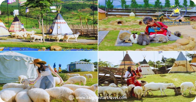 Tham quan Mongo Land | Combo du lịch Đà Lạt 3 ngày 2 đêm giá tốt