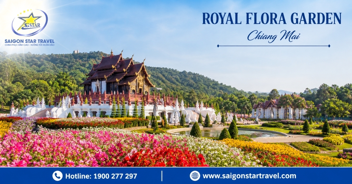 Tour Chiang Mai Chiang Rai 5 Ngày 4 Đêm Từ TpHCM [2026]