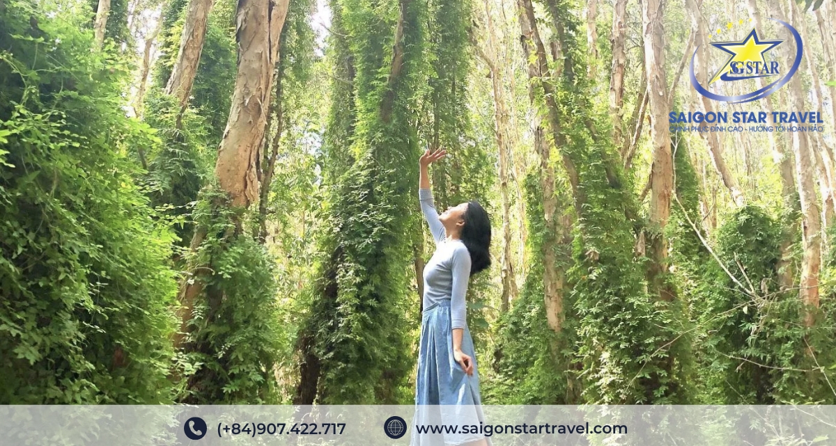 Tour Bình Châu Hồ Cốc 2 Ngày 1 Đêm Giá Rẻ | Resort 3-4-5 Sao, Xe Đưa Đón TpHCM