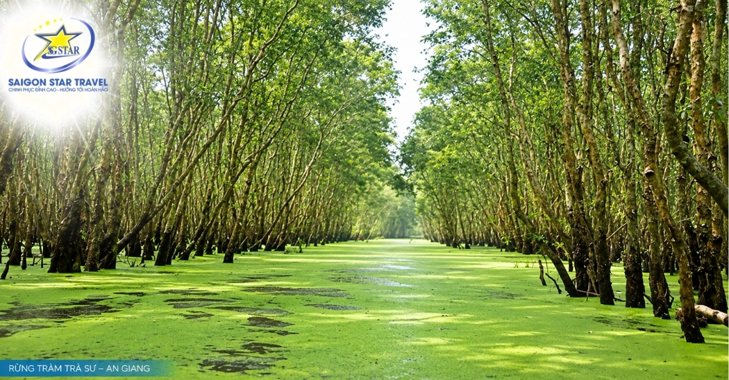Tour Đảo Bà Lụa Rừng Tràm Trà Sư 2 Ngày 2 Đêm Từ TpHCM