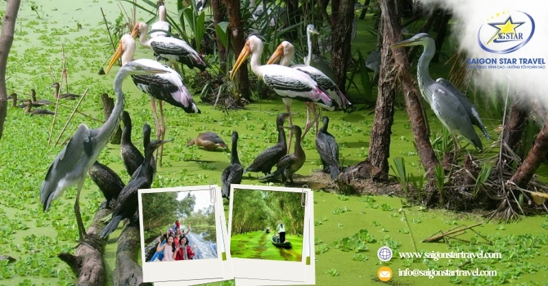 Tour Du Lịch Miền Tây 4 Ngày 3 Đêm - Khám Phá 7 Tỉnh Miền Tây
