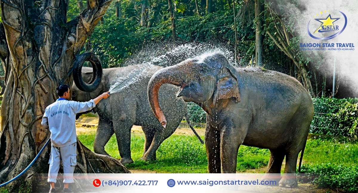 Thảo Cầm Viên - Tour Sài Gòn 2 ngày 1 đêm