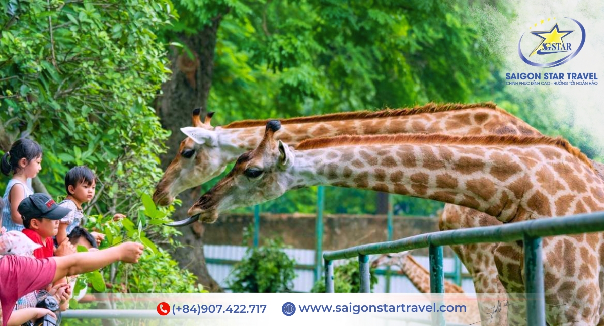 Tour Sài Gòn 4 Ngày 3 Đêm | Sài Gòn City - Củ Chi - Mỹ Tho - Bến Tre - Vũng Tàu