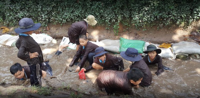 Tour Học Tập Dã Ngoại 1 Ngày tại Nông Trại Tree - Bình Dương