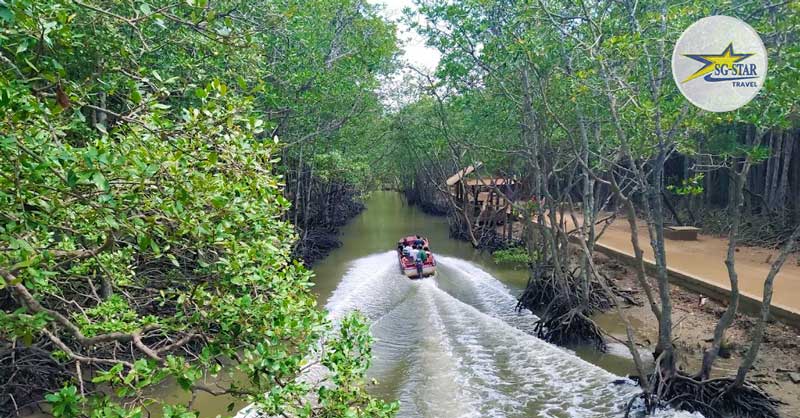 Tour Du Lịch Cần Giờ 1 Ngày - Khám Phá Đảo Khỉ - KDL Rừng Vàm Sát