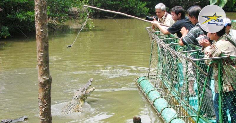 Tour Du Lịch Cần Giờ 1 Ngày - Khám Phá Đảo Khỉ - KDL Rừng Vàm Sát
