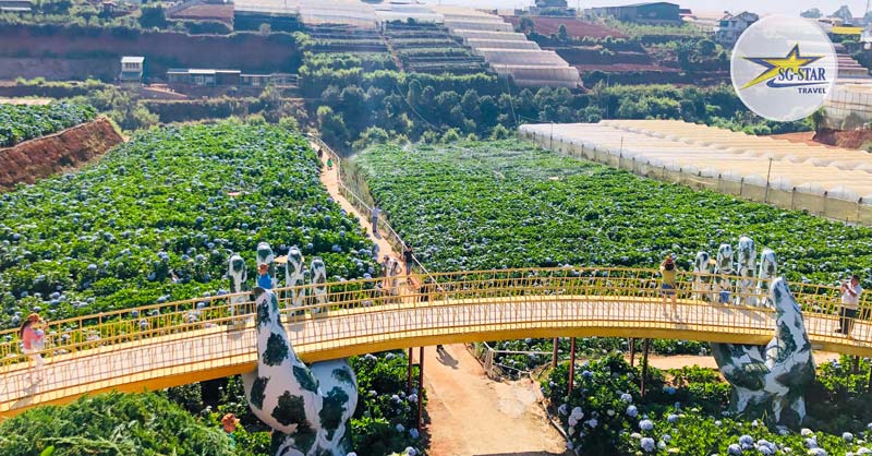 Tour Du Lịch Đà Lạt 4 Ngày 3 Đêm Mới Nhất