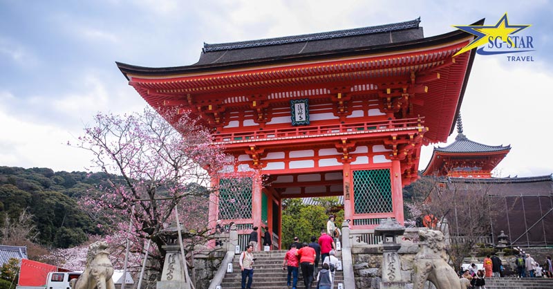 Tour Nhật Bản 6 Ngày 5 Đêm – Ngắm Nhìn Cung Đường Vàng Hoa Anh Đào