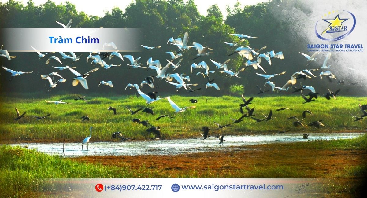 Chàm Chim Tam Nông - Tour Tràm Chim Cần Thơ 2 ngày 1 đêm