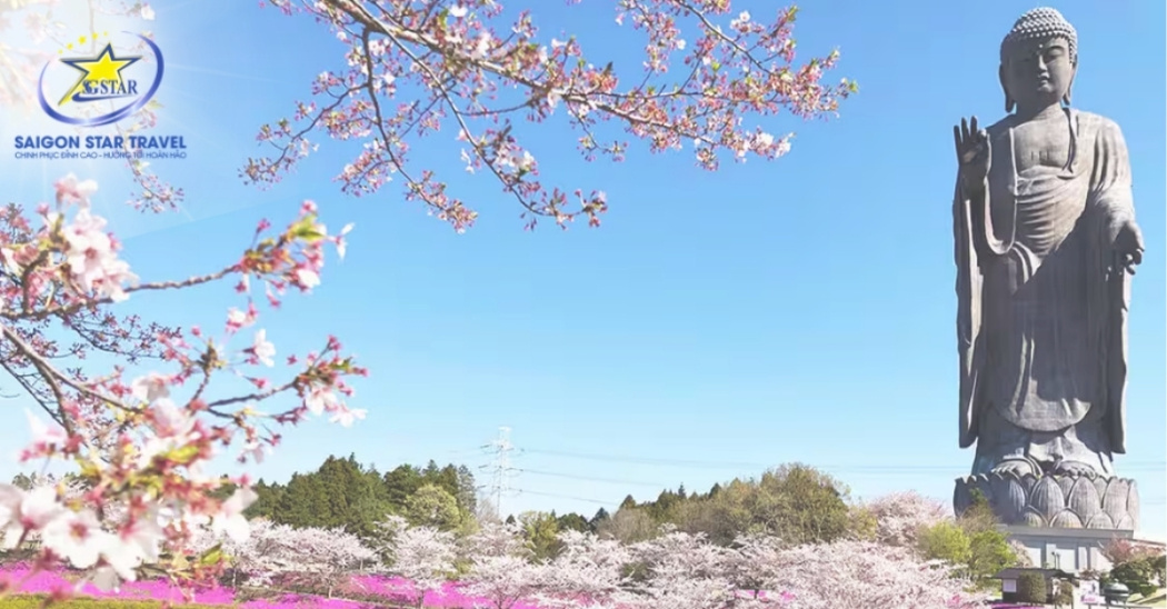 Tour Nhật Bản Mùa Thu 4N4Đ | Tokyo - Phú Sĩ - Ibaraki Từ TpHCM