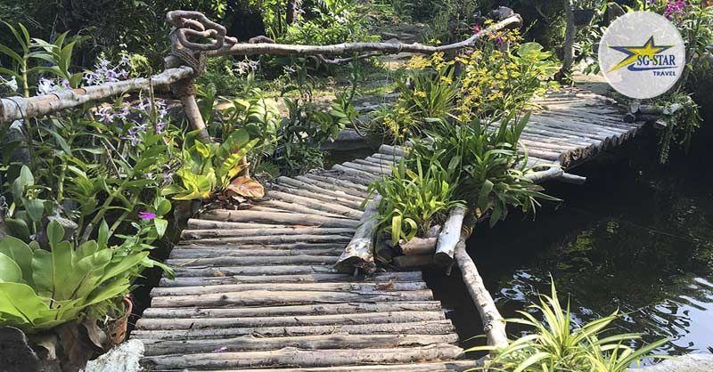 Vé Đảo Hoa Lan