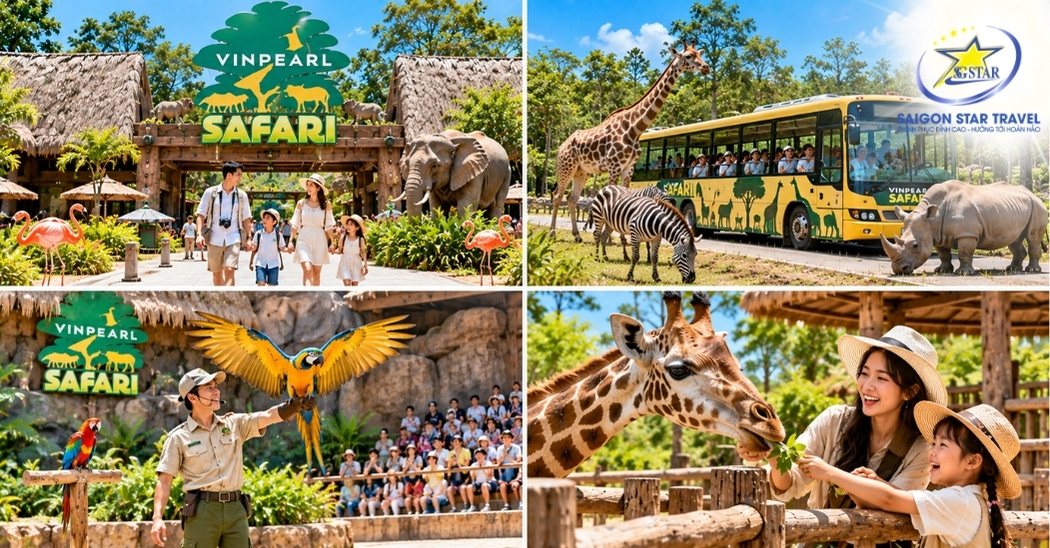 Vé Vinpearl Safari Phú Quốc: Giá Vé Và Thông Tin Tham Quan
