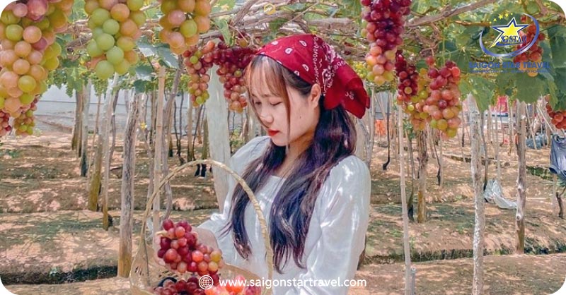 Tour Team Building Cam Ranh 3 Ngày 2 Đêm  – Lễ 30/4