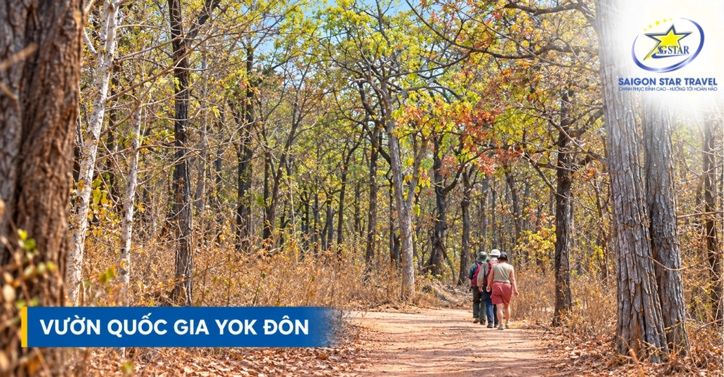Du khách đi bộ trên lối mòn giữa rừng tại Vườn quốc gia Yok Đôn