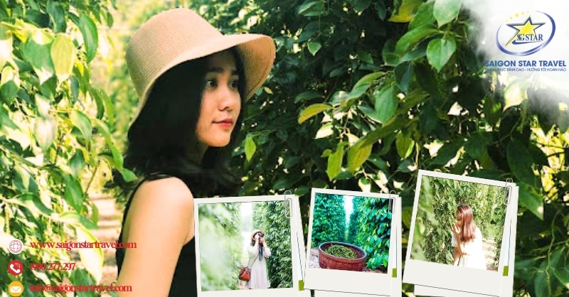 Tour Nam Đảo Phú Quốc 1 ngày | Khám Phá Nét Đẹp Phía Nam Đảo