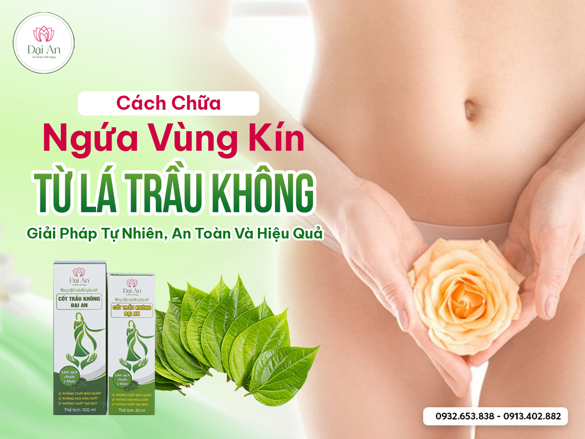 Cách Chữa Ngứa Vùng Kín Từ Lá Trầu Không – Giải Pháp Tự Nhiên, An Toàn Và Hiệu Quả