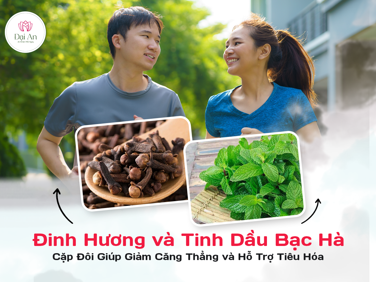 Đinh Hương và Tinh Dầu Bạc Hà: Cặp Đôi Giúp Giảm Căng Thẳng và Hỗ Trợ Tiêu Hóa