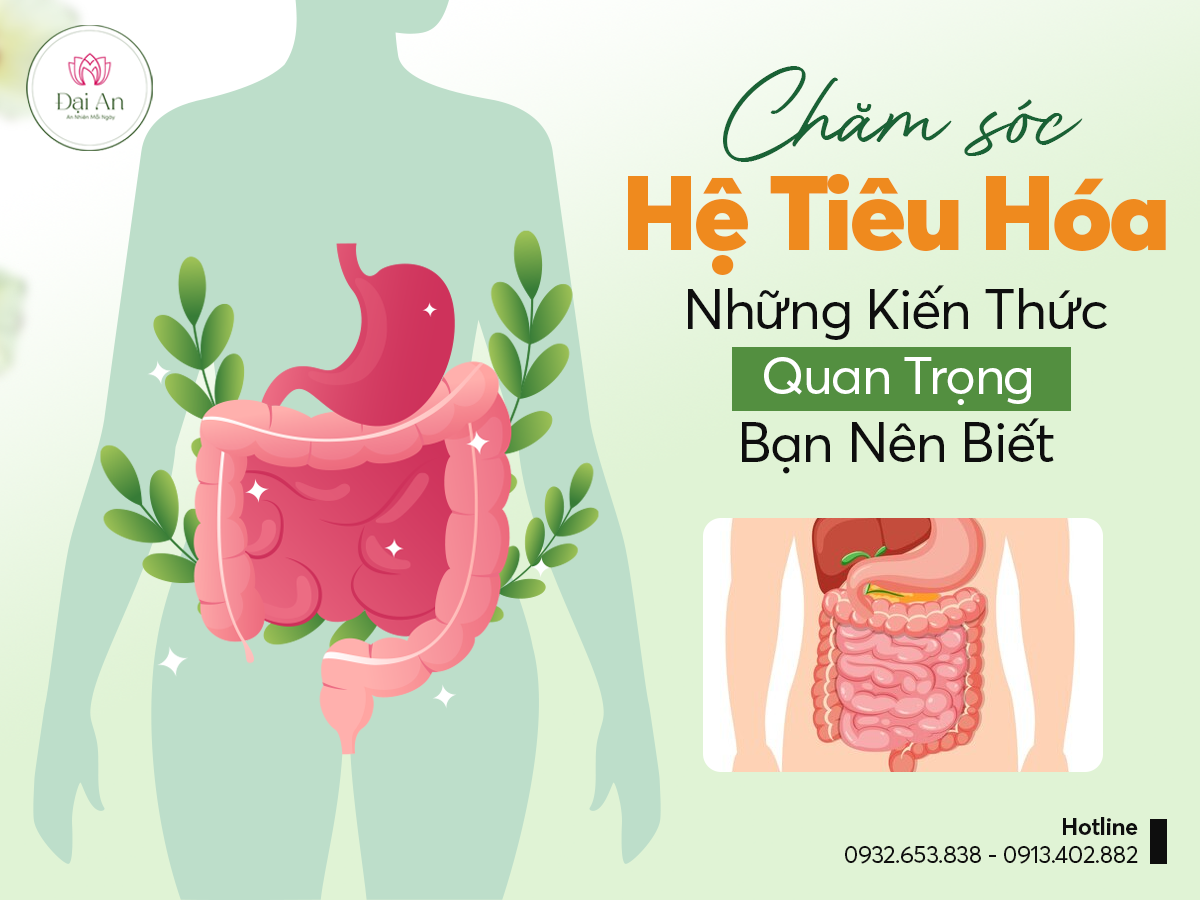 Chăm Sóc Hệ Tiêu Hóa: Những Kiến Thức Quan Trọng Bạn Nên Biết