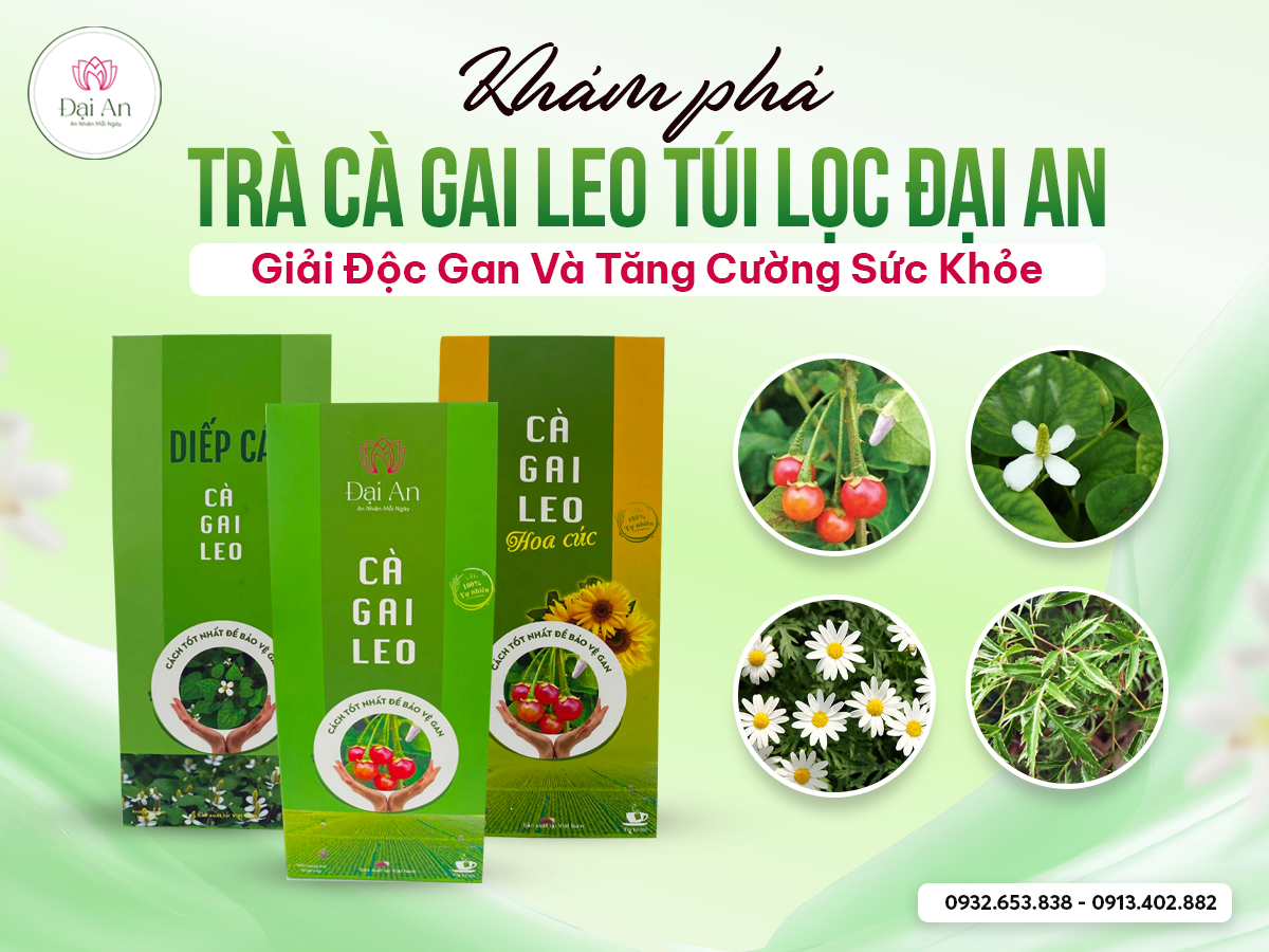 Khám Phá Trà Cà Gai Leo Túi Lọc Đại An – Giải Độc Gan Và Tăng Cường Sức Khỏe