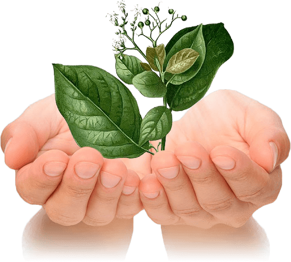 Chăm sóc ngoài da