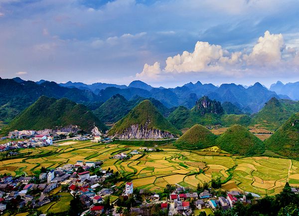 Hanoi - Ha Giang - Dong Van Stone Plateau - Buckwheat Flower Season Tour
