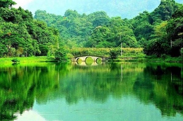 Ninh Binh Private Customized Tour