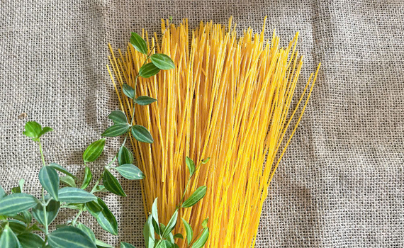 Sở hữu son siêu xịn đến từ thương hiệu Uni