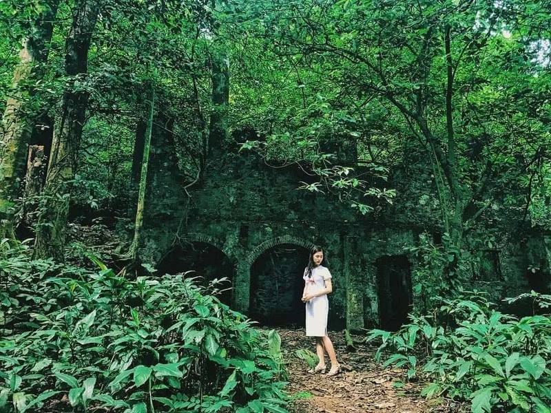 Dân phượt đã biết kinh nghiệm du lịch Ba Vì này chưa?