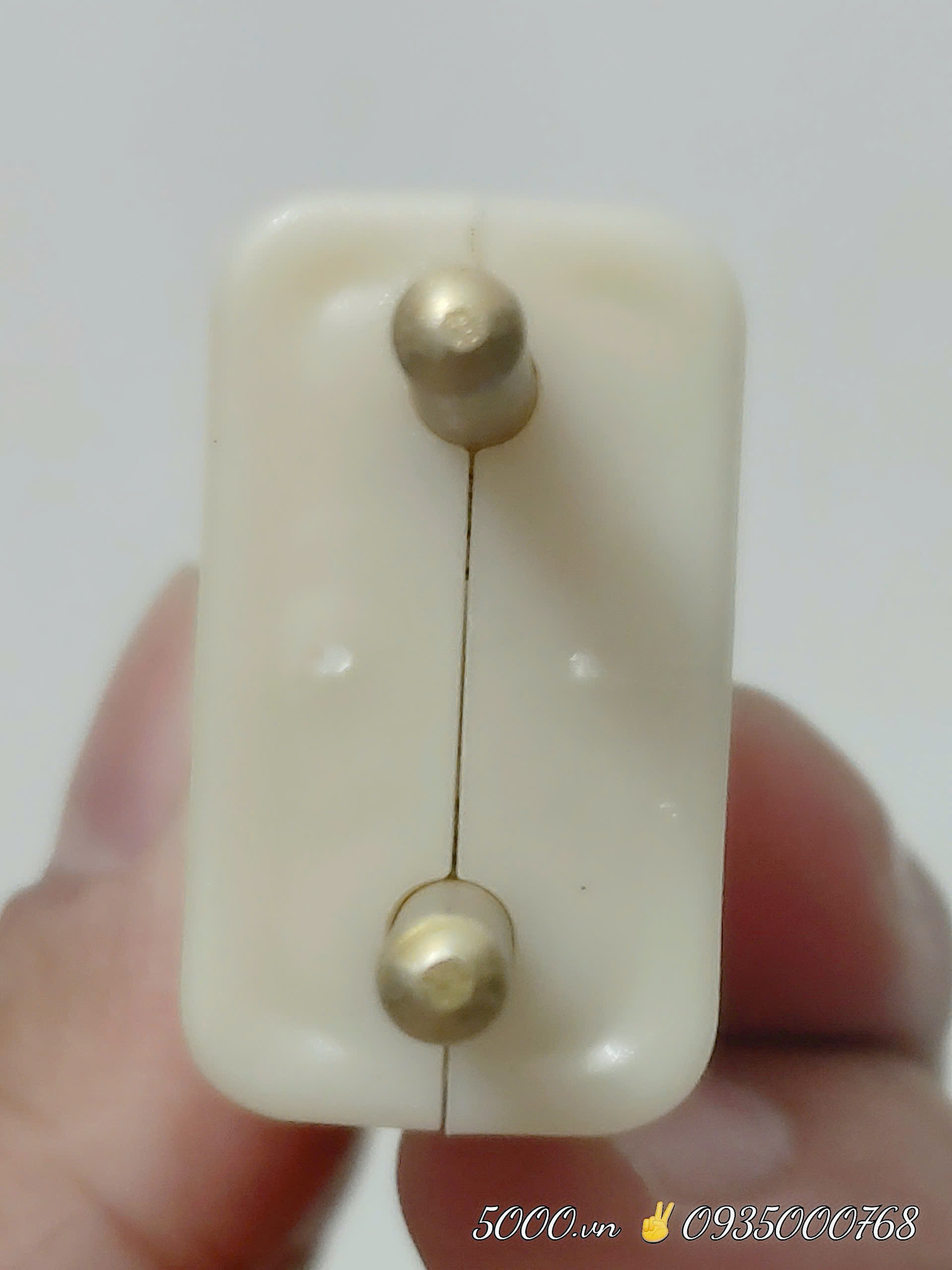 Phích cắm DƯƠNG (Ko dây | Chui tròn)