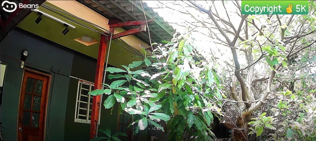 Camera 2MP BEANS-VIEW D210 - Hàng chính hãng ✌ Powered by EZ Việt Nam | 2 năm | App cùng tên | Cài đặt dễ dàng